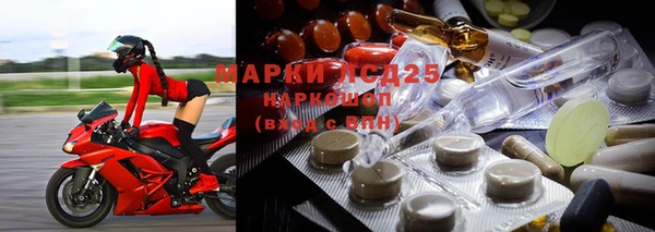 стаф Абаза