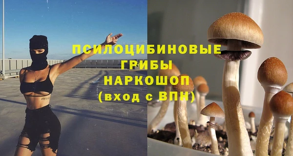 ешки Абинск